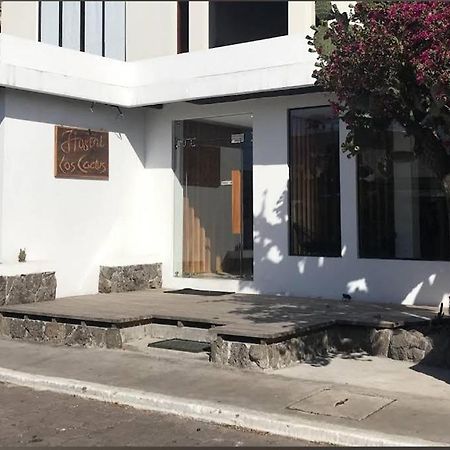 Cactus Hostel Puerto Baquerizo Moreno Buitenkant foto
