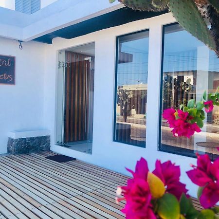 Cactus Hostel Puerto Baquerizo Moreno Buitenkant foto
