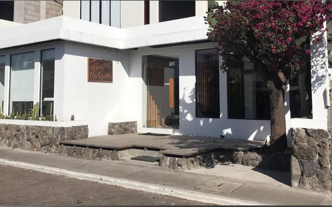 Cactus Hostel Puerto Baquerizo Moreno Buitenkant foto